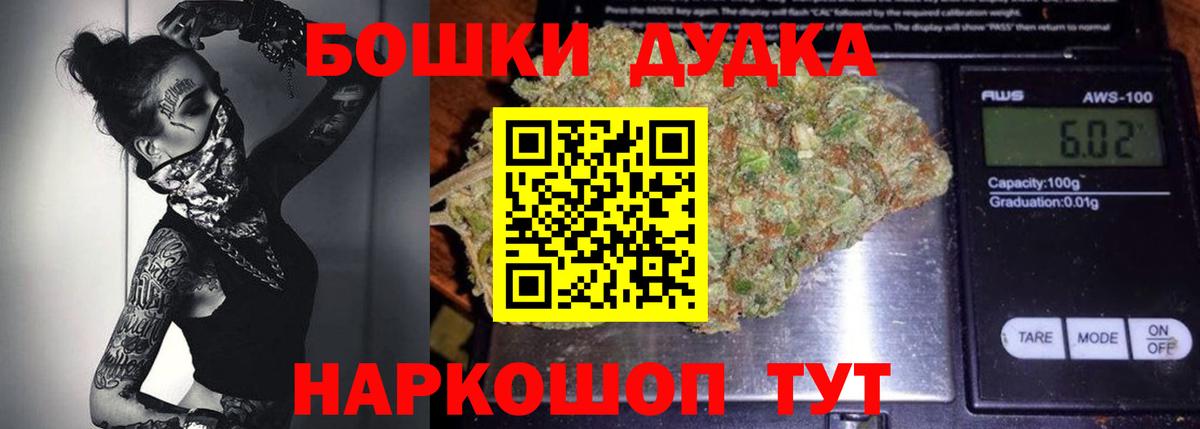 Конопля сатива Орёл